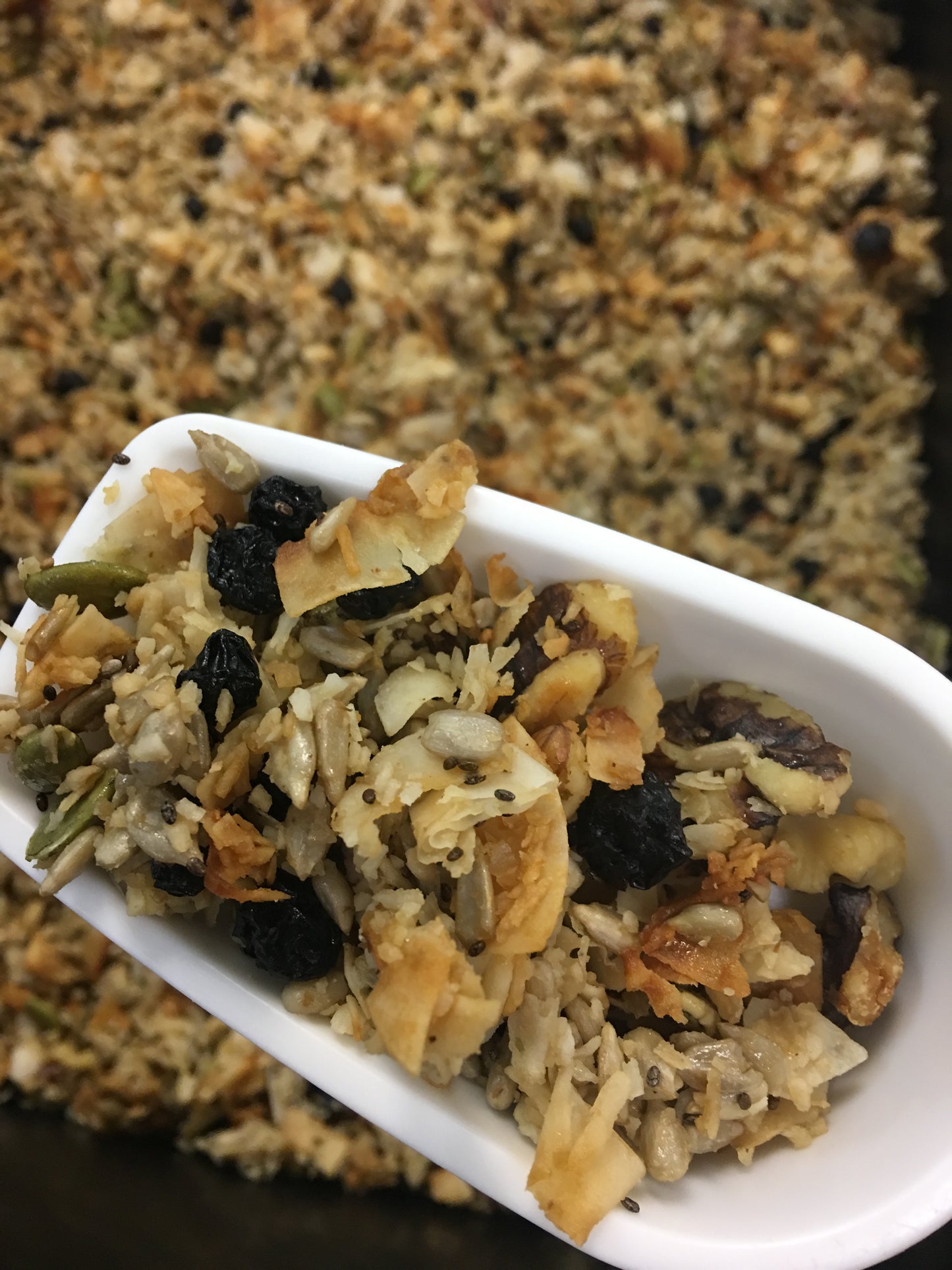 Blueberry Walnut Granola